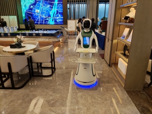 灵动如仙 送餐机器人租赁 人形送餐机器人出租 房地产活动送餐机器人 舞台活动颁奖机器人送餐