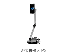 派宝机器人 P2