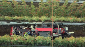 Abundant Robots 的核心变化是否足够？