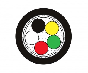 RMCV-SB(20276)(2464)