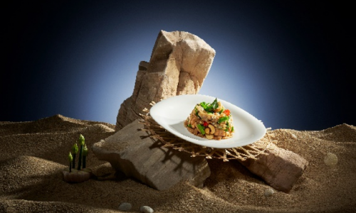 美食机器人“不停科技”宣布完成数千万元天使轮融资