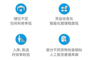 表现亮眼！极智嘉作为行业独角兽巨头再登北京卫视