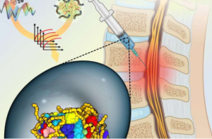 利用人工智能和机器人技术来治疗脊髓损伤