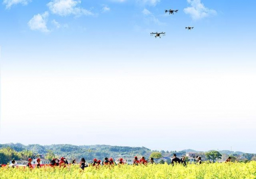 浏阳采用无人机“护花”一台无人机相当于15倍人工