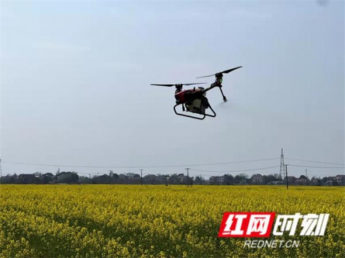 无人机成农业新帮手 430多亩地约6小时完成作业