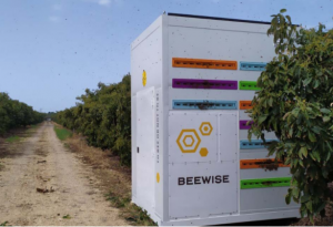 这个机器人蜂箱想拯救蜜蜂