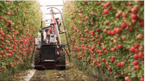 苹果采摘是价值 790 亿美元的产业，收割方式 100 年未变！Abundant 机器人助力农场主简化采摘过程