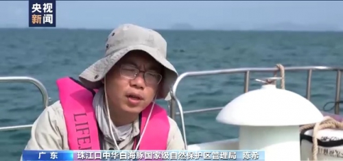 “智能无人船+被动声学监测”守护中华白海豚