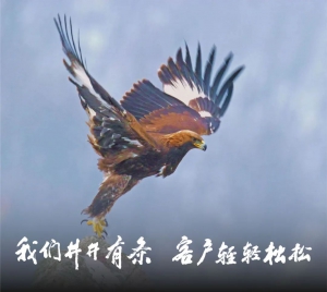 井松智能董事长上市感言