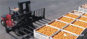 卡斯卡特叉车属具在食品搬运行业的应用