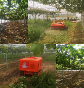 增产10%！达闼云端喷药割草机器人已上岗千亩葡萄园