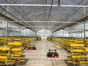 案例集 | 科钛潜伏系列机器人落地应用！