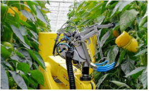 发那科机器人支持可持续农业