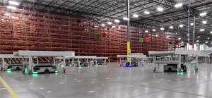 ANTS登场 退货无忧 | 国自助力北美某大型家居电商平台智能化转型