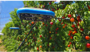 以色列公司开发水果采摘无人机缓解农场劳动力短缺