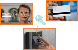 我的叉车会认人