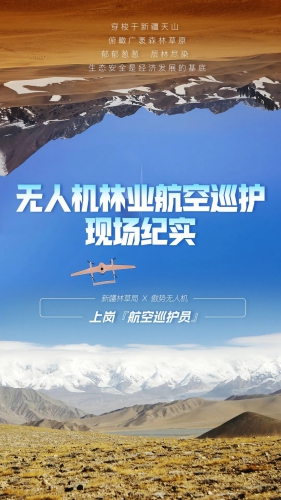 新疆林草局&傲势无人机 | 林业航空巡护工作纪实