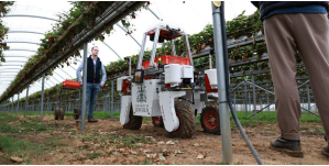 英国机器人平台利用物联网实现农业产业自动化