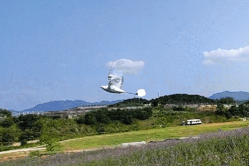 北京航空航天大学创扑翼式无人机飞行续航世界纪录