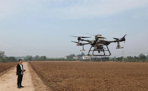 无人机飞播助力油菜生产提质增效