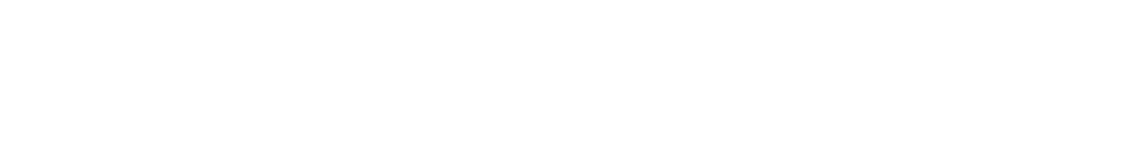 法国ST Engineering Antycip公司