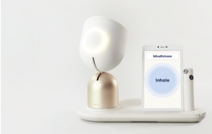 Intuition Robotics 推出 ElliQ 2.0 和配套应用程序