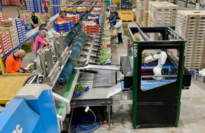 澳大利亚成立国家机器人战略咨询委员会