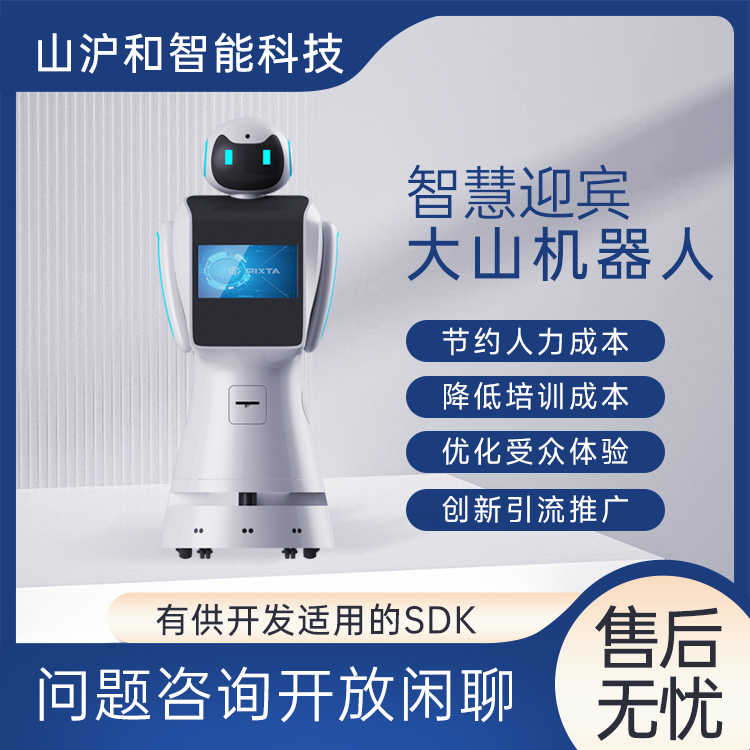 人形迎宾机器人大山