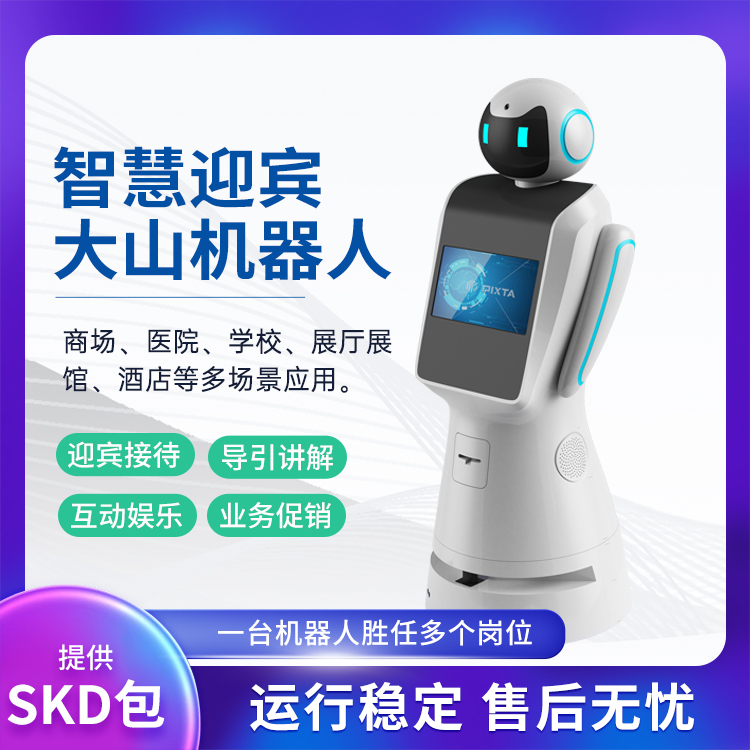 人形迎宾机器人大山