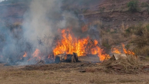 极速感知态势，大鹏无人机助力森林防灭火