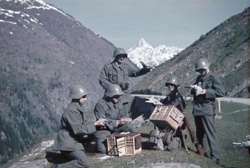 从 Pigeon Post 到超远程无人机