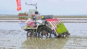 万象“耕”新 | 北斗导航助力延寿12000亩水田花式“插秧”！