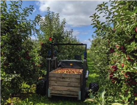 西克传感器助力自主果园收割机器人