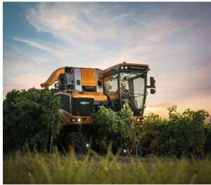 机器人技术或现代化手段助力缓解葡萄园劳工不足的窘境