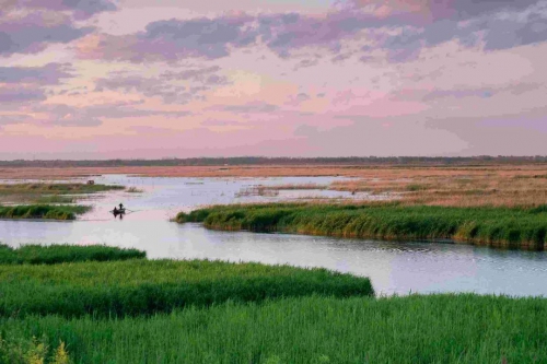 经典案例：海舶智能无人船助力白洋淀流域修复工作