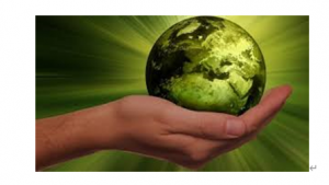 重新定义企业的可持续未来：劳动力、环境与自动化