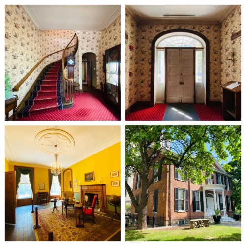 擎朗机器人出没！多伦多国际电影节瞥见时尚&先进科技