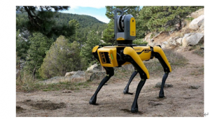 人工智能预测模型在自主机器人中的作用