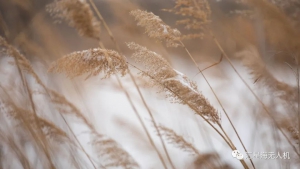 冰雪世界的无人机奇行