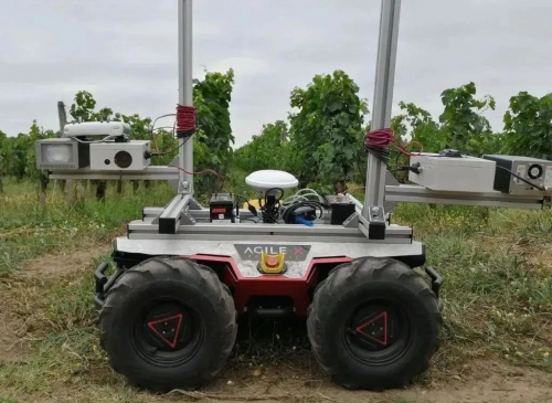 科研案例| 法国波尔多葡萄园采用松灵Scout 2.0巡检机器人