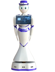 智能商用人形服务机器人