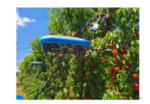 可缓解农业长期劳动力短缺的 11 种机器人