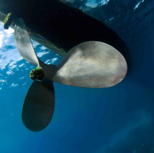 看完舒服了！潜鲛P100 S大显神通，帆船摆脱10公斤水草困境