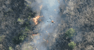 筑牢森林消防AI“防火墙”，卓翼智能为防灭火带来“向上的力量”