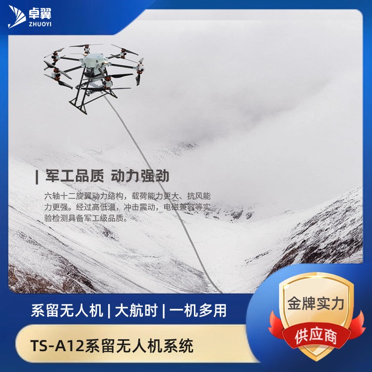 TS-A12军用系留无人机系统
