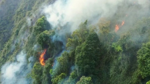 AI识别赋能大应急：无人机自动检测，火速发现“火情”