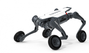 外媒：中国四足机器人正在征服旷野