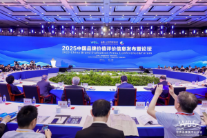 115.20亿元！安徽叉车集团品牌价值再突破！