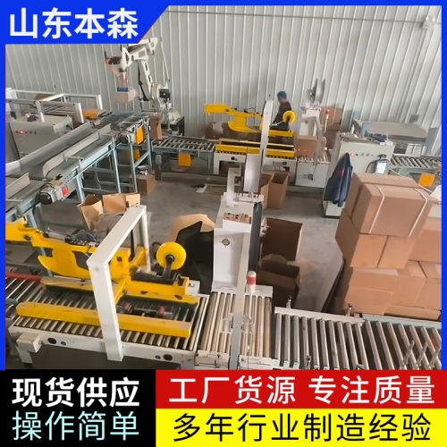 码垛机器人多少钱 真空包装葫芦籽输送码垛机械臂