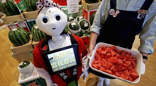 2020年十分之一美国家庭将拥有机器人